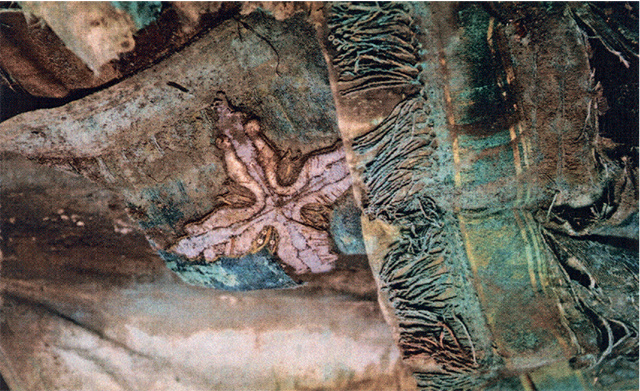 Фото: Сергей Арканов