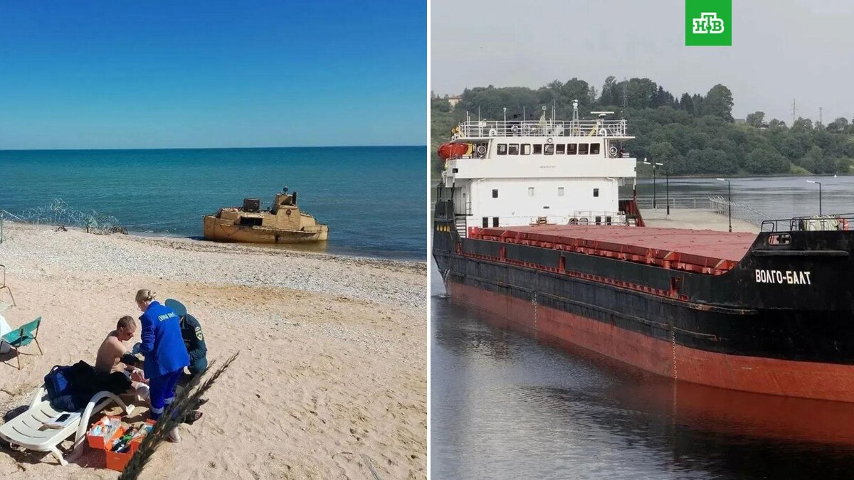    Фото: SALDO_VGA / t.me