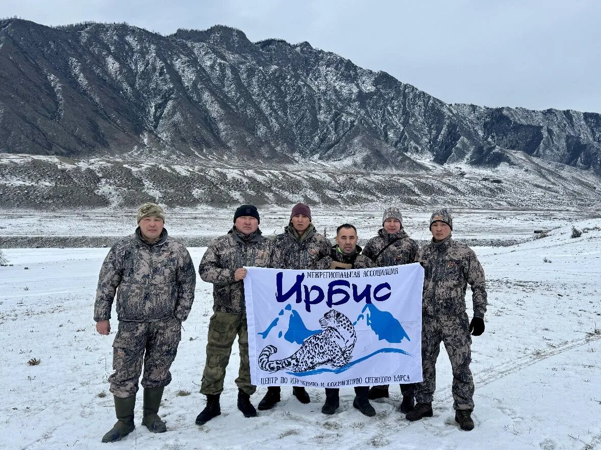 Последний этап алтайского учета численности и состояния снежного барса на хребте Сайлюгем на границе с Монголией стартовал в начале апреля. (с) Сайлюгемский нацпарк. 