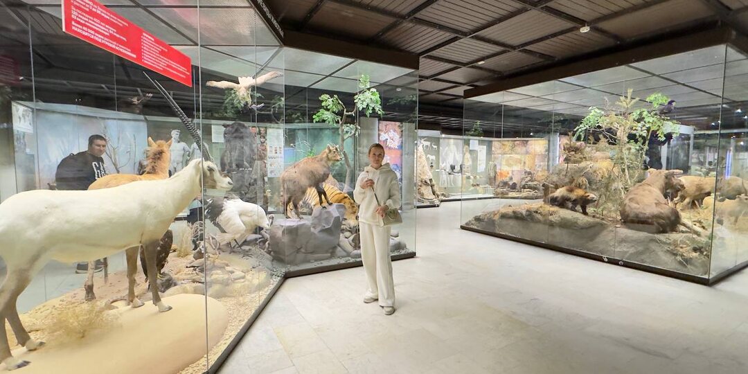 Сегодня были в музее Дарвина