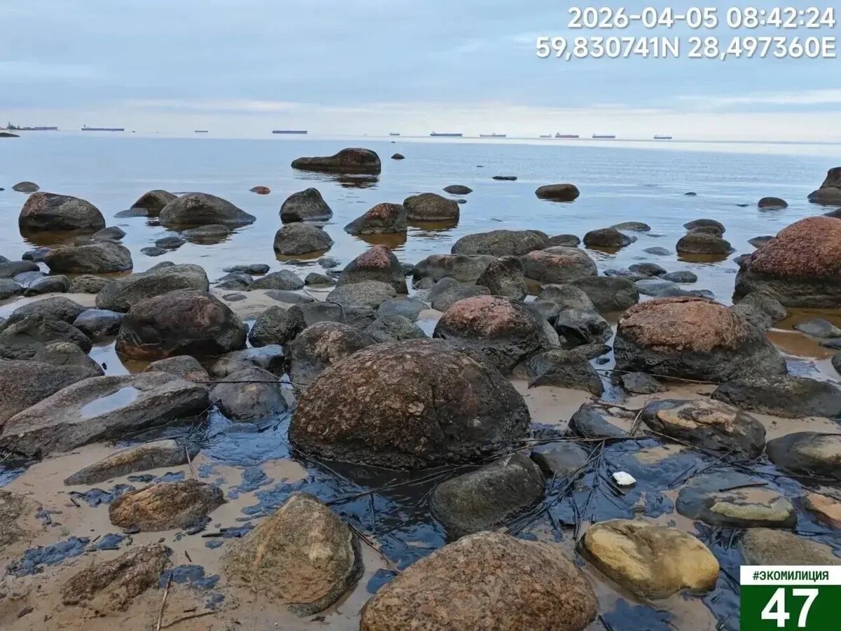     / Источник: © Комитет государственного экологического надзора