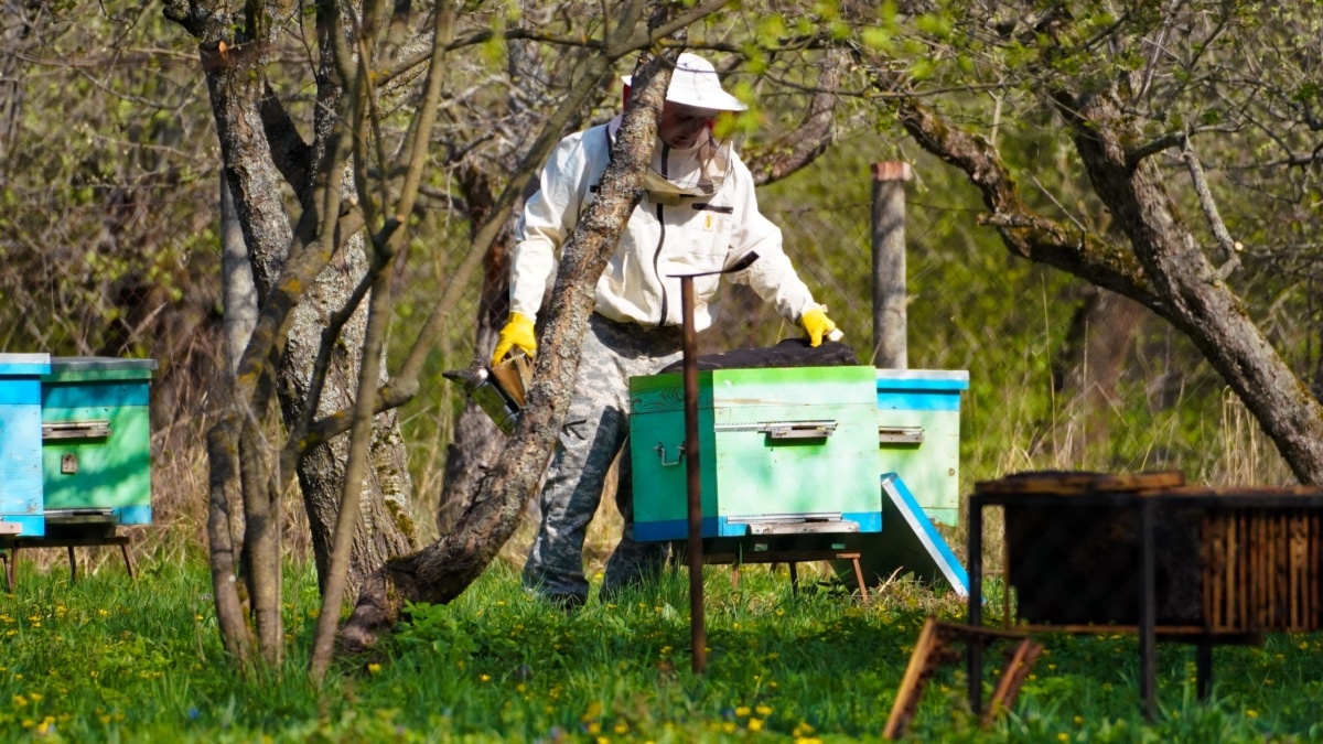 Светлана Мулыкина📷
