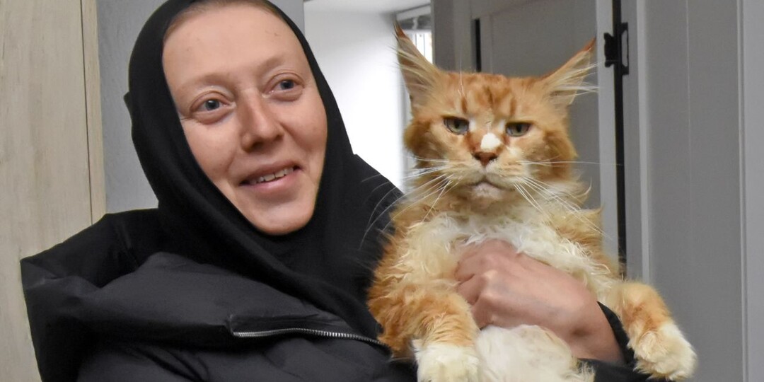 Монахиня Задонского монастыря Арсения за 31 год нашла хозяев для 20 тысяч кошек