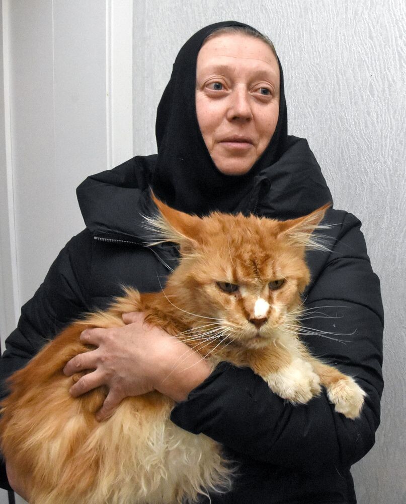 Спасённый от смерти Мэй стал лицом (не мордой!) кошачьей группы в «ВК»