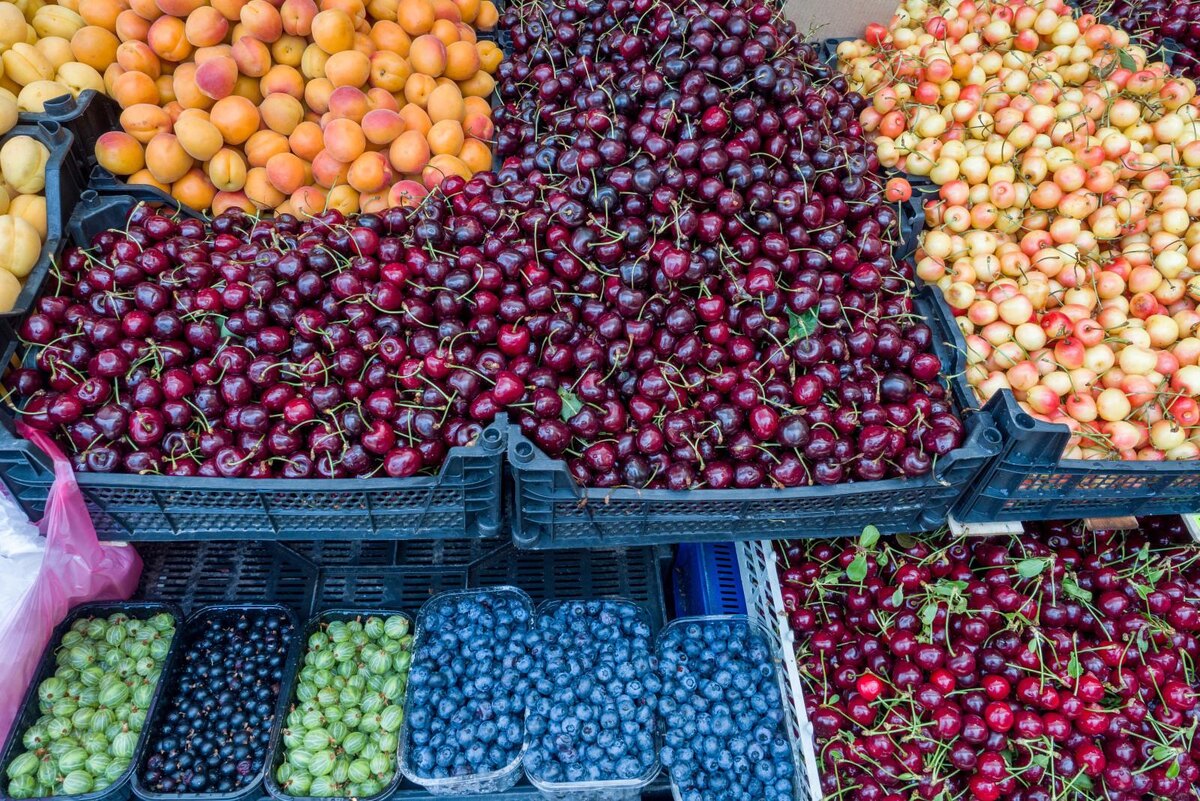 Фото: Олег Золото / «Петербургский дневник»