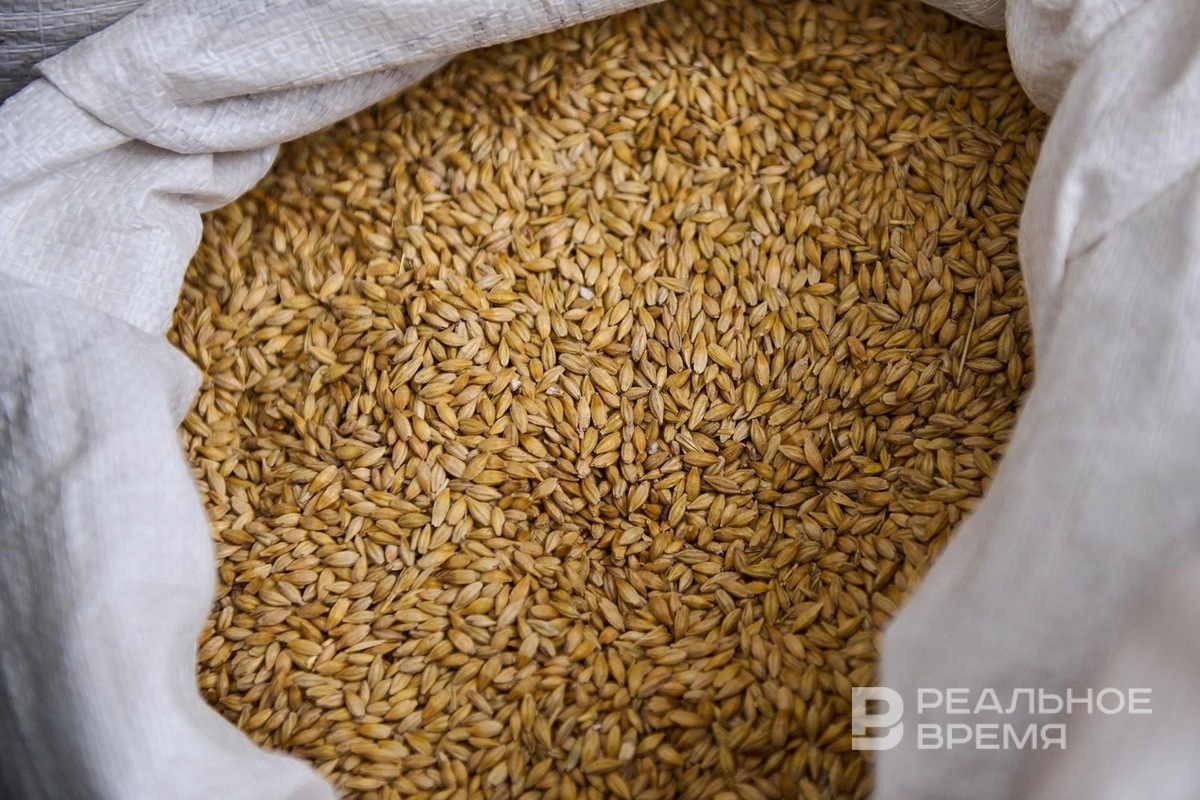   Динар Фатыхов / realnoevremya.ru