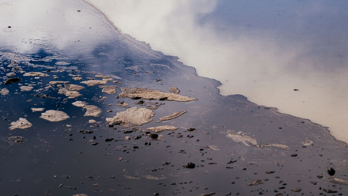    Фото: Юлия Чудинова/«Ямал-Медиа»