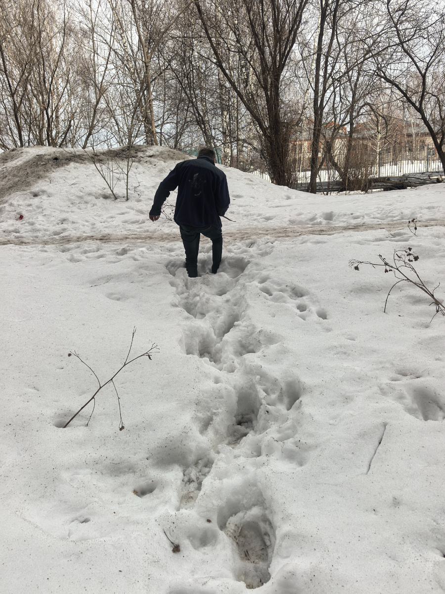 По колено в снегу