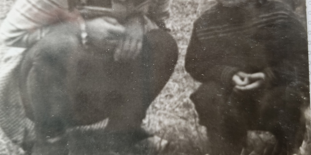 Секретики*😁 Марья сказочница в деле или кто живёт в дупле.