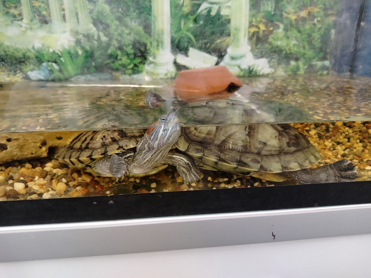    Фото: "ГородКиров.ру", архивное фото