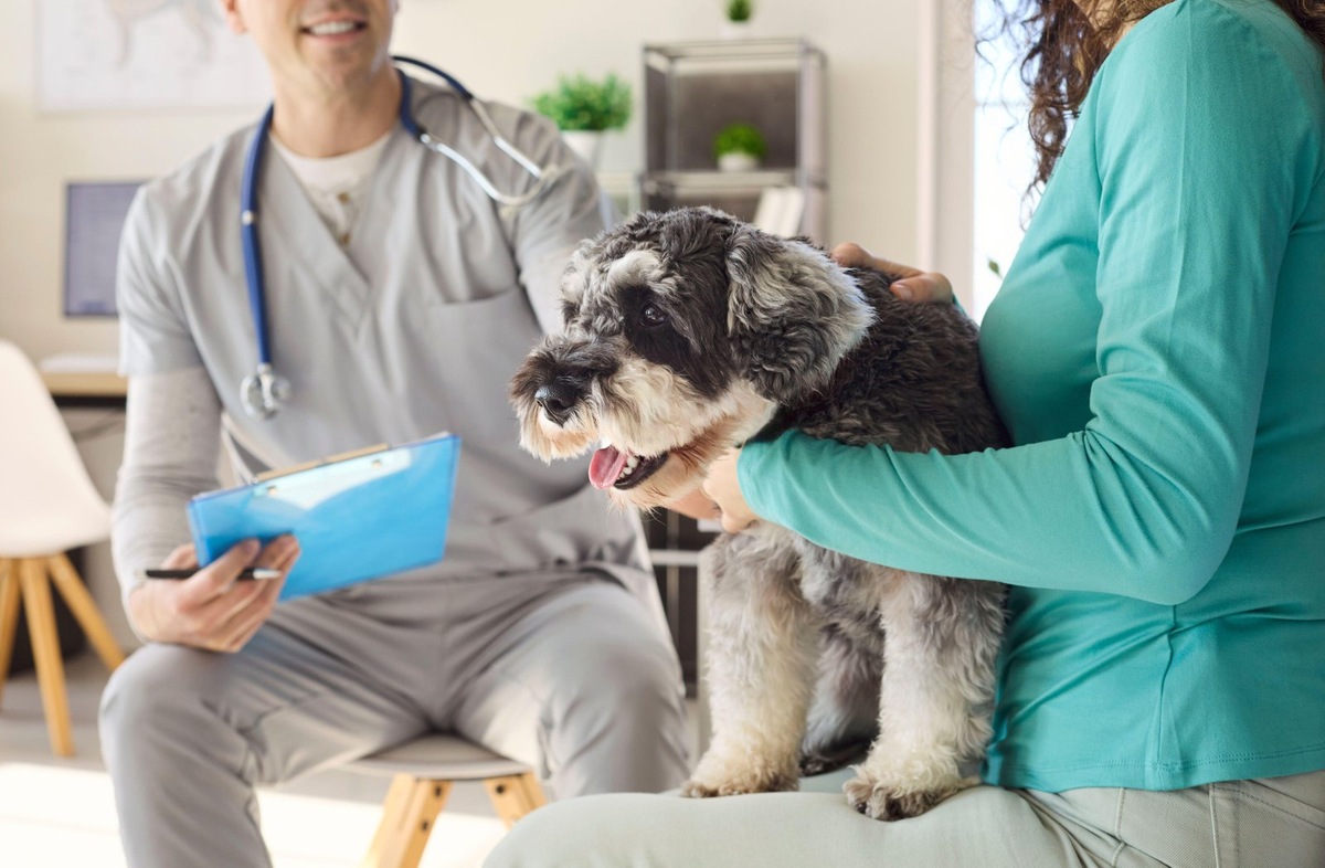    Перед назначением лечения важно определить причину алопеции у собаки