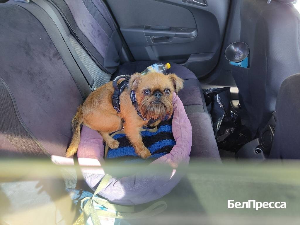     Фото: Маргарита Хохлова