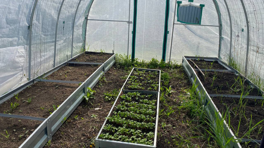    Автор фото - Анна Ефимова