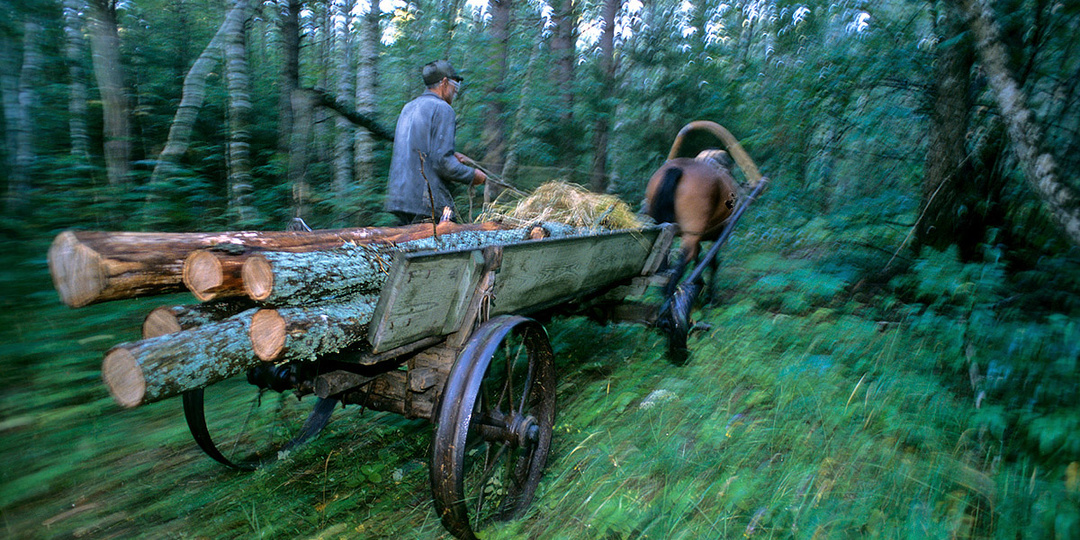 Николай Шпиленок: В затерянном мире. Ч.3