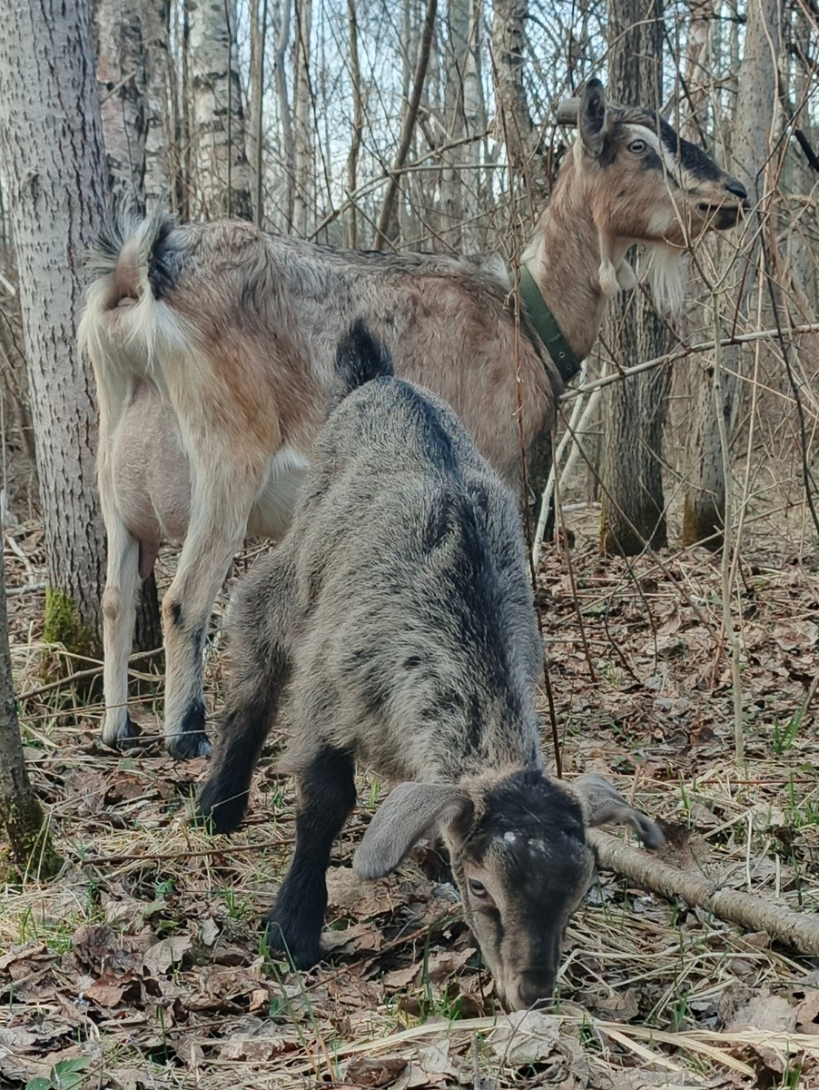 фото из личного архива