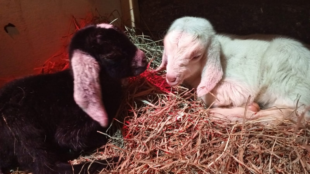 фото из личного архива