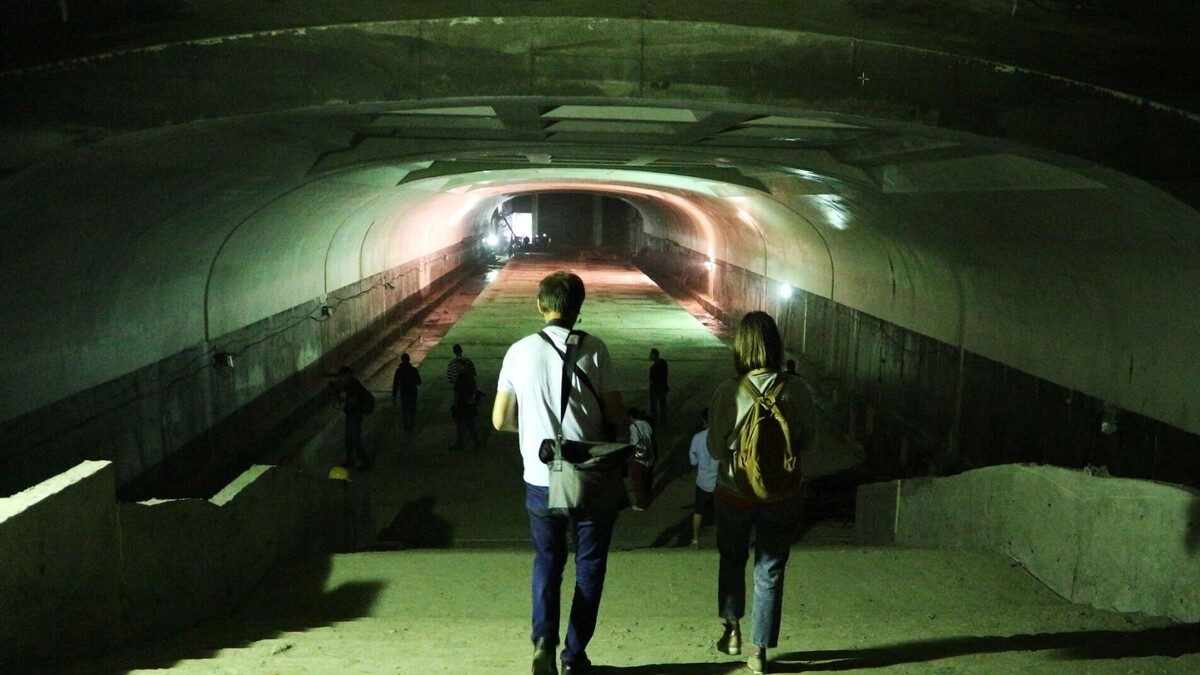    Пытаемся вместе с птицей покинуть город на метро: как представлен Омск в интернет-культуре   gorod55.ru