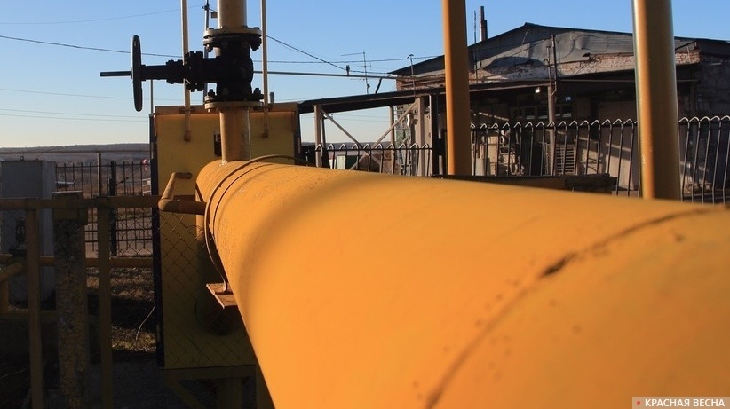     Газовые трубы   
Павел Редин © ИА Красная Весна