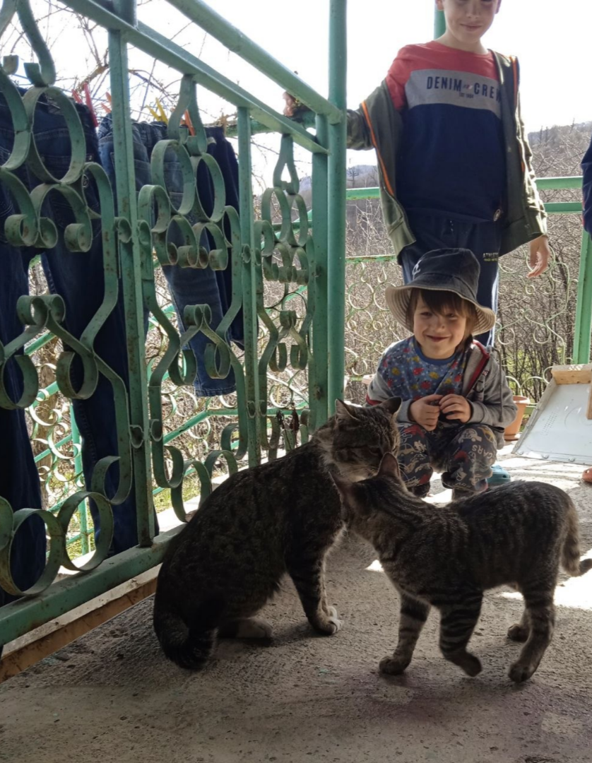 Однако, на пути у домашнего котика Фантика встал уличный котик Тавушик. Тот, хоть и обладает поистине нордическим нравом, такого изменения в субординации проигнорировать не мог. К счастью, домашний котик Фантик, не будь дурак, сразу понял, кто пока что тут альфа-самец, - лег на спинку, показал пузико и всем своим видом продемонстрировал готовность подчиняться иерархическому порядку вещей. Потому и по мордасям практически не отхватил.