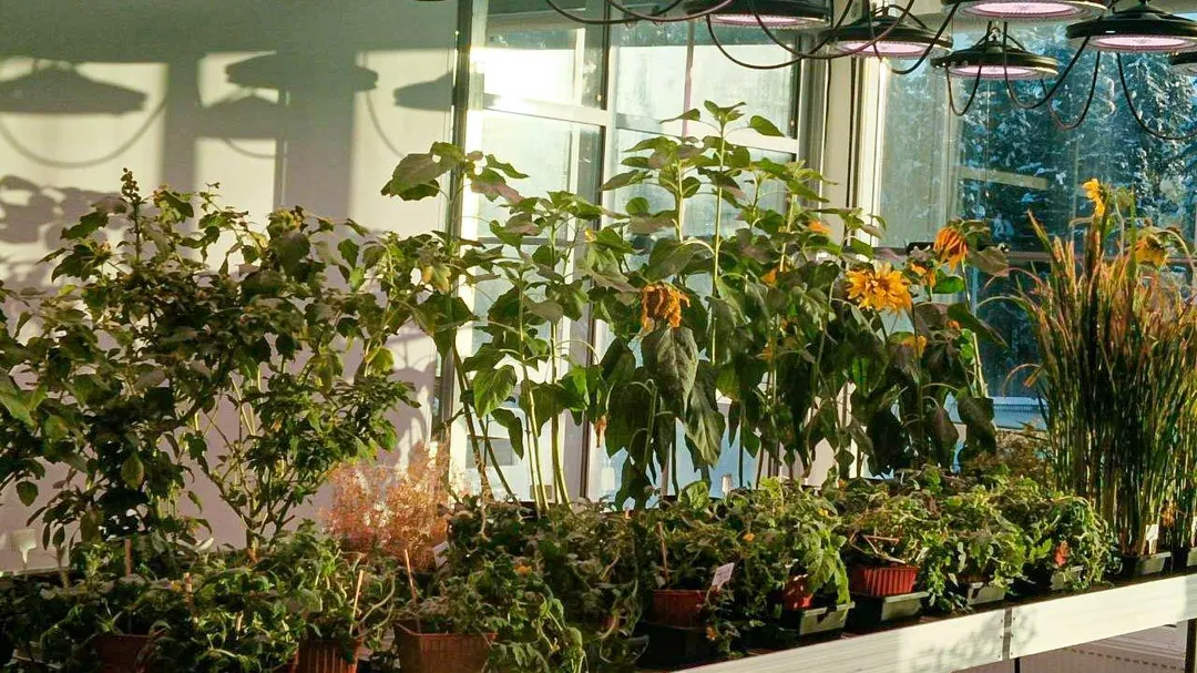 Фото: REGIONS/Наталья Пичугина