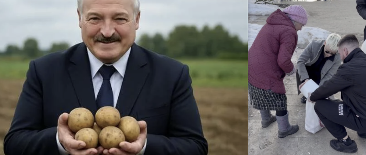 коллаж автора Лкукашенко и Дронов с картошкой 