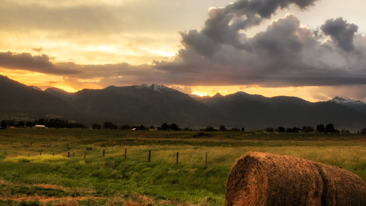 Окрестности города Корваллис. 