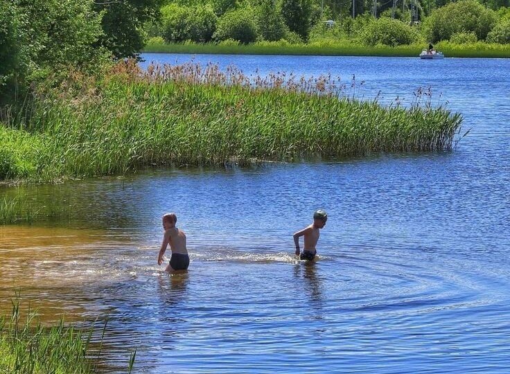 Подборка фото. Снится мне деревня... Лето у бабушки в деревне.