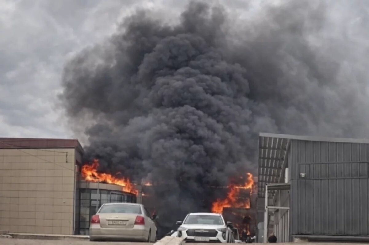    В сети появились кадры огненных вихрей, возникших при пожаре в Калининграде