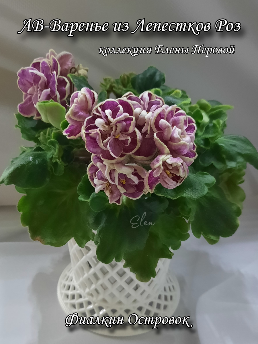 ПОСТ-ПРЕДОСТЕРЕЖЕНИЕ!