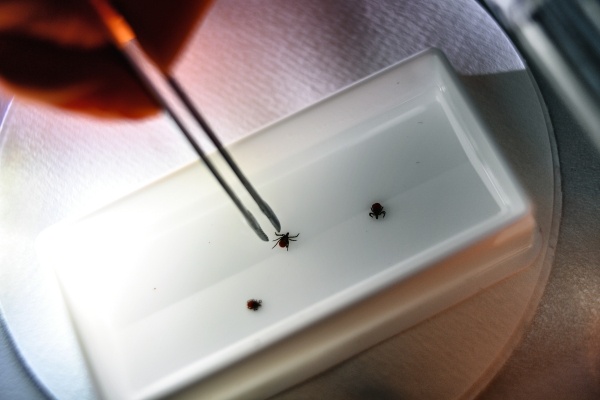 Фото: Павел Лисицын/РИА Новости