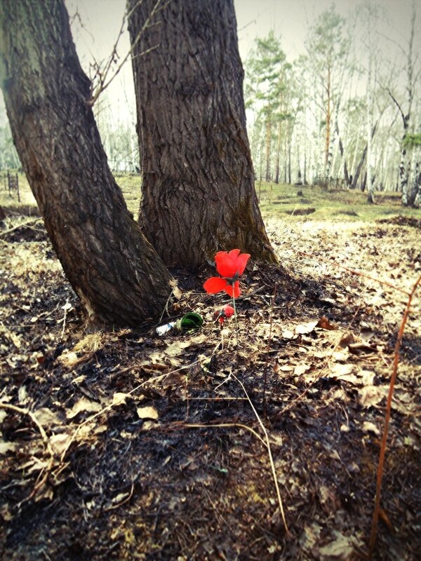 неистребимый русский обычай весны - поджигать траву повсюду...
