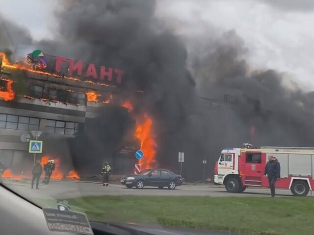    Фото: телеграм-канал "Калининград с огоньком"