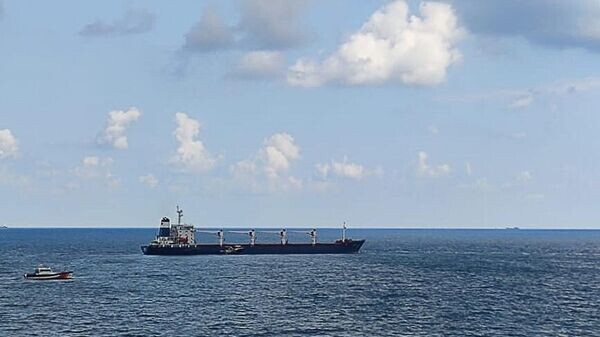    © Sputnik / Бурджу Окутан