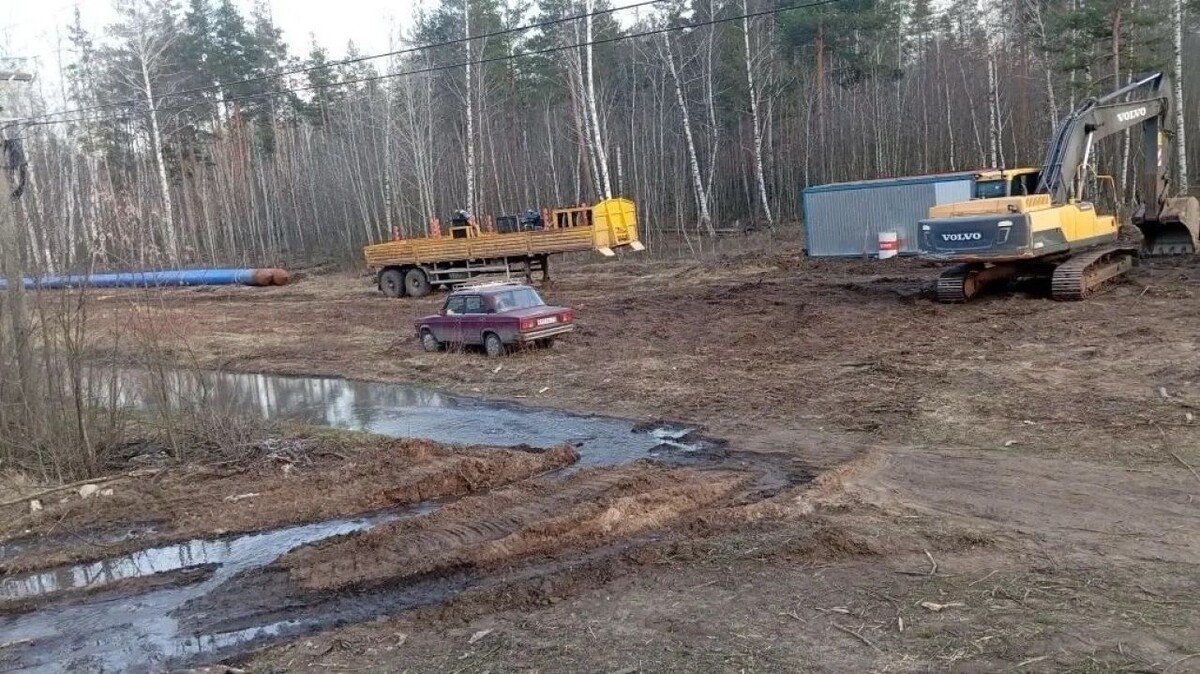 Фото: читатель «МОЁ!»