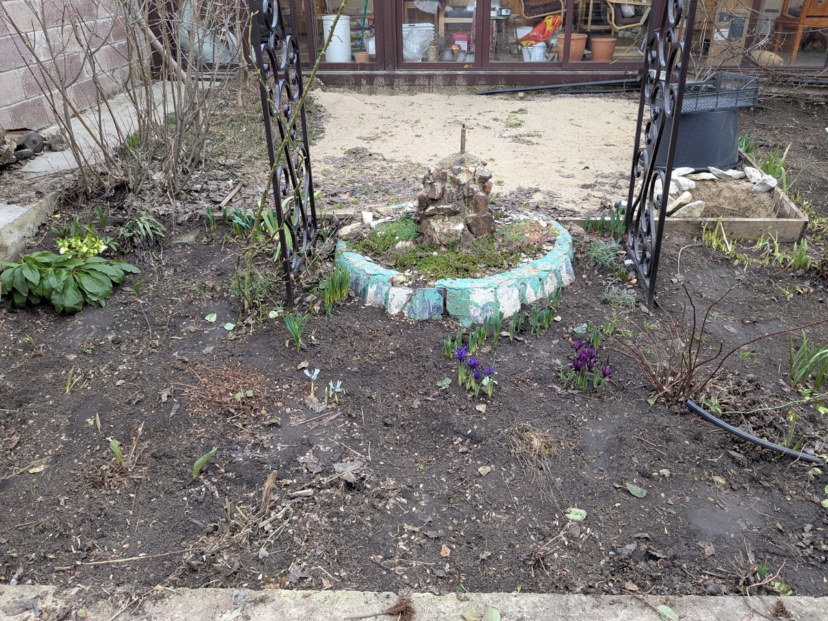 Плетистая роза Pierre de Ronsard уже стоит, о с другой стороны арки место пустует