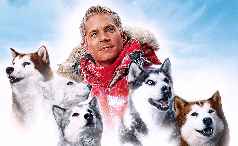 Подборка фильмов про собак