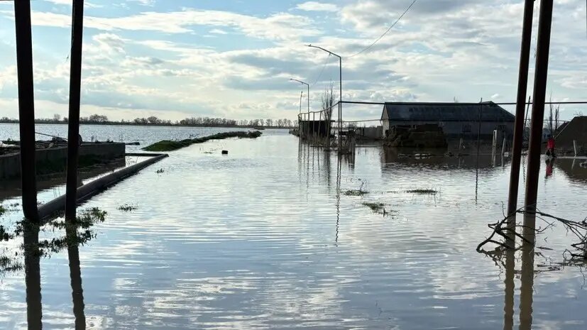    Источник: russian.rt.com Мила Кузнецова