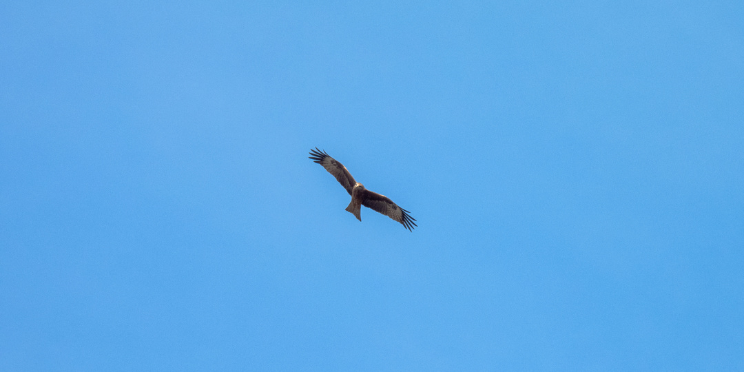 Куда тут прилетать!