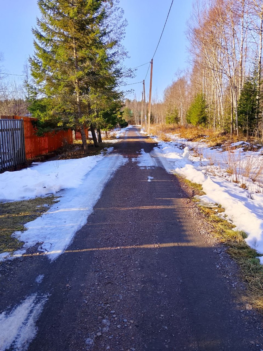 Улица в садоводстве на карельском перешейке