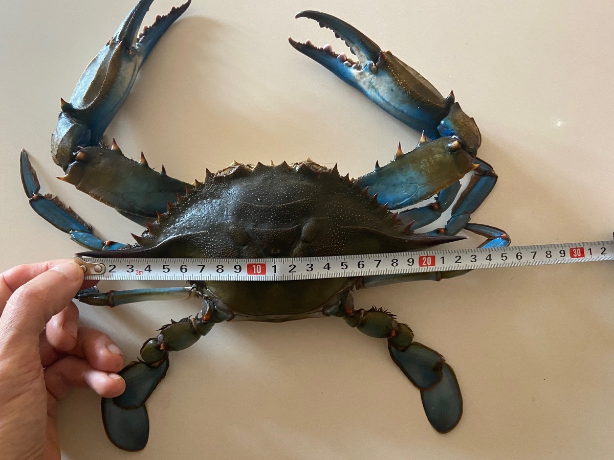 Ладно, не такие уж они и незаметные...