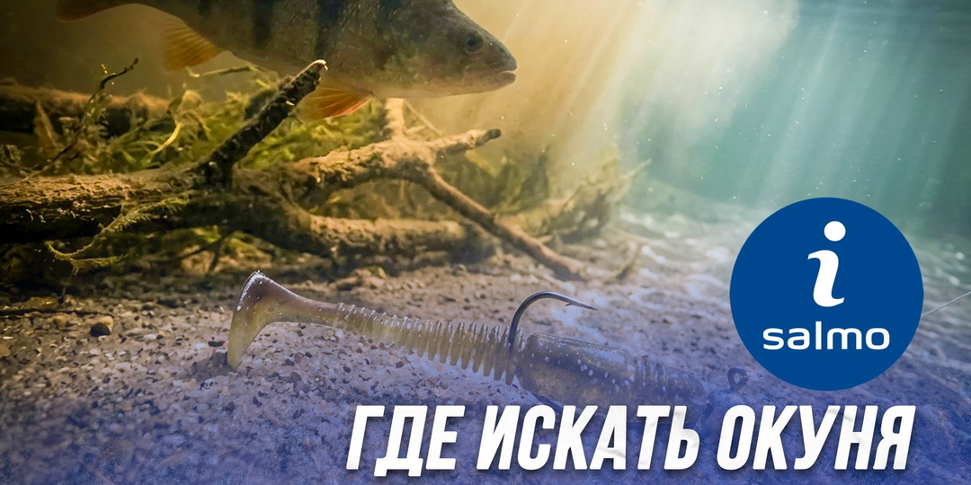 Где искать окуня в половодье?