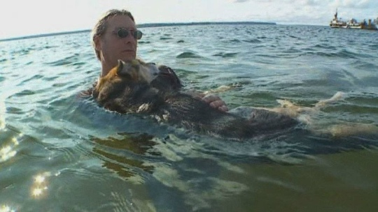 Пёс, который спас хозяина. Хозяин, который спас пса