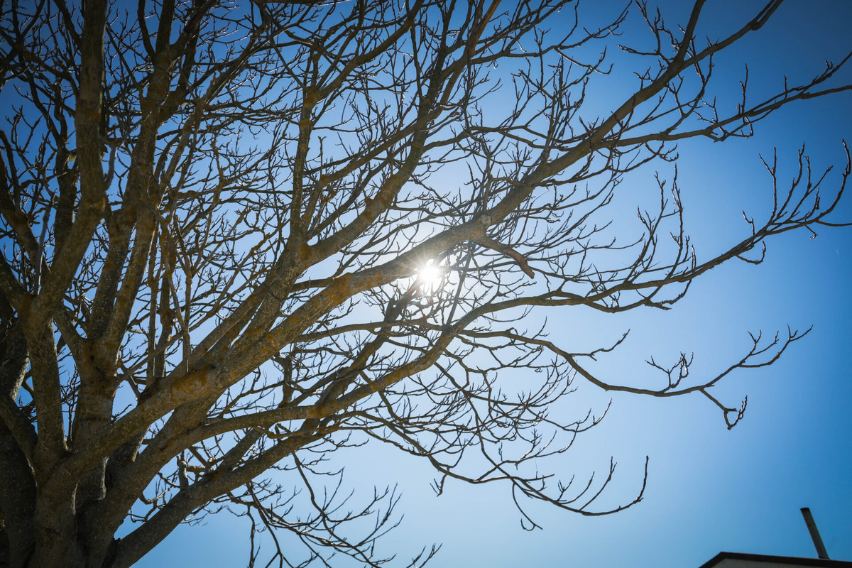    Фото: ТРК «Таврия»