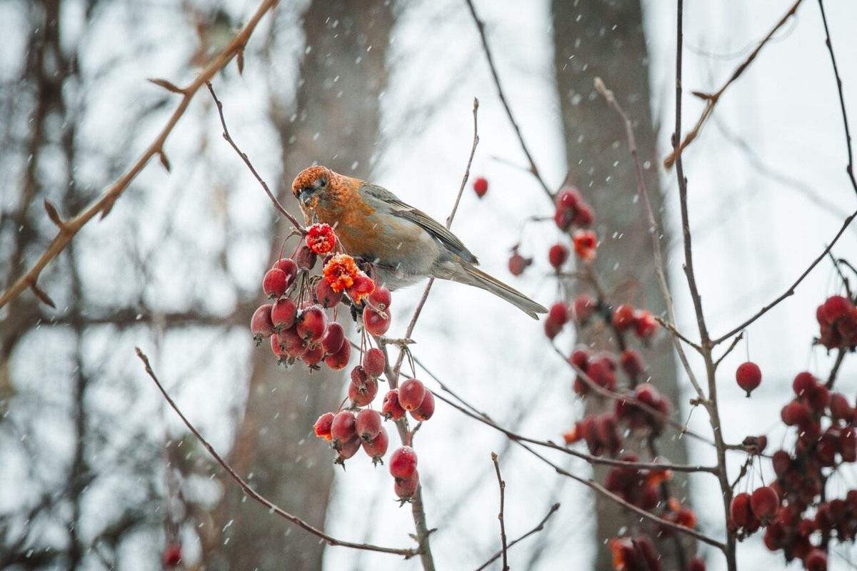    Фото: "Республика" / Оксана Кудряшова