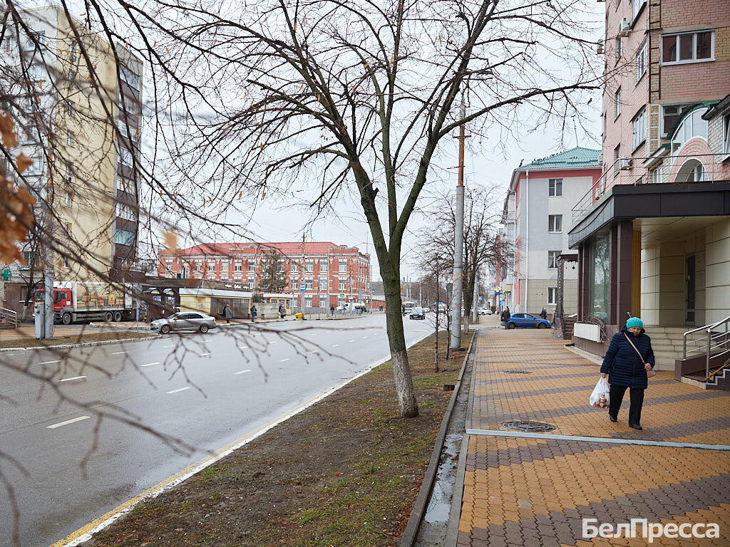     Фото: Елена Журавлёва (архив)