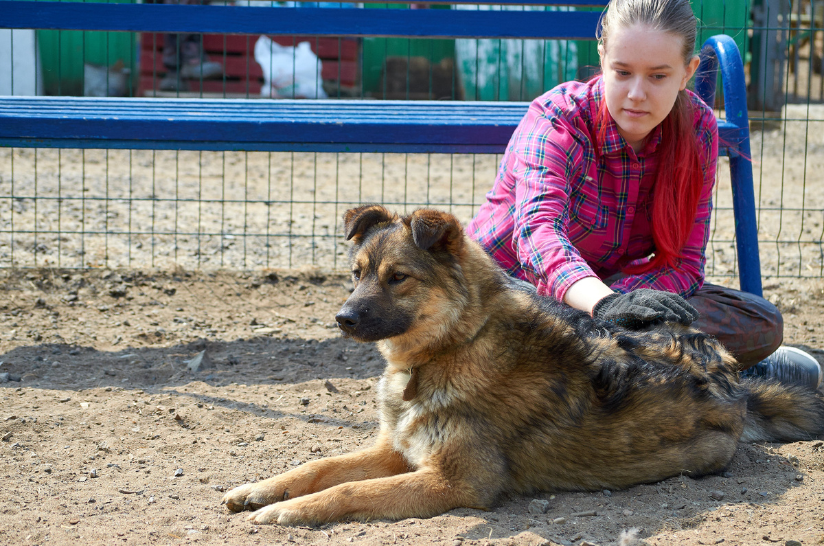 И куда вы всё время уходите и приходите?