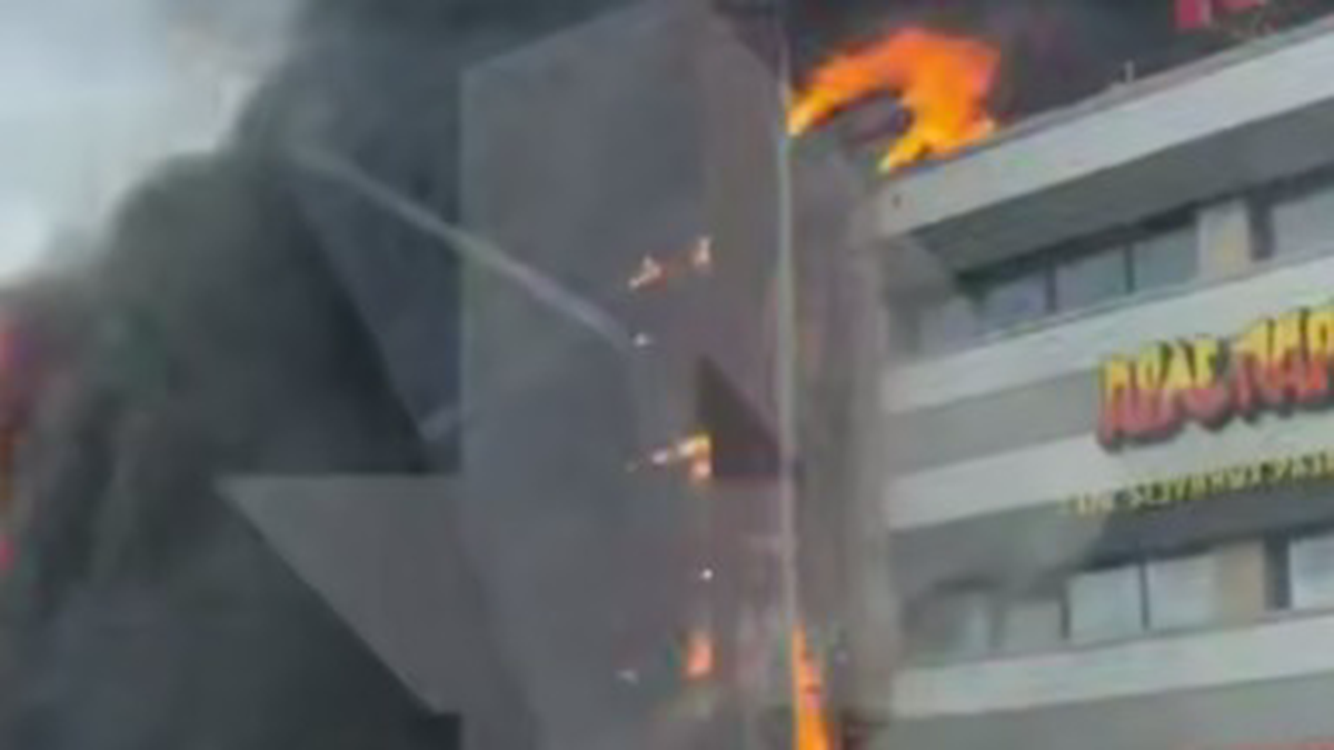    Фото: Скриншот с видео / РЕН ТВ / Telegram