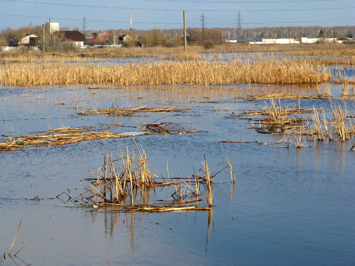 Фото: Марина Н. Макарова, Омск, 5апр26.