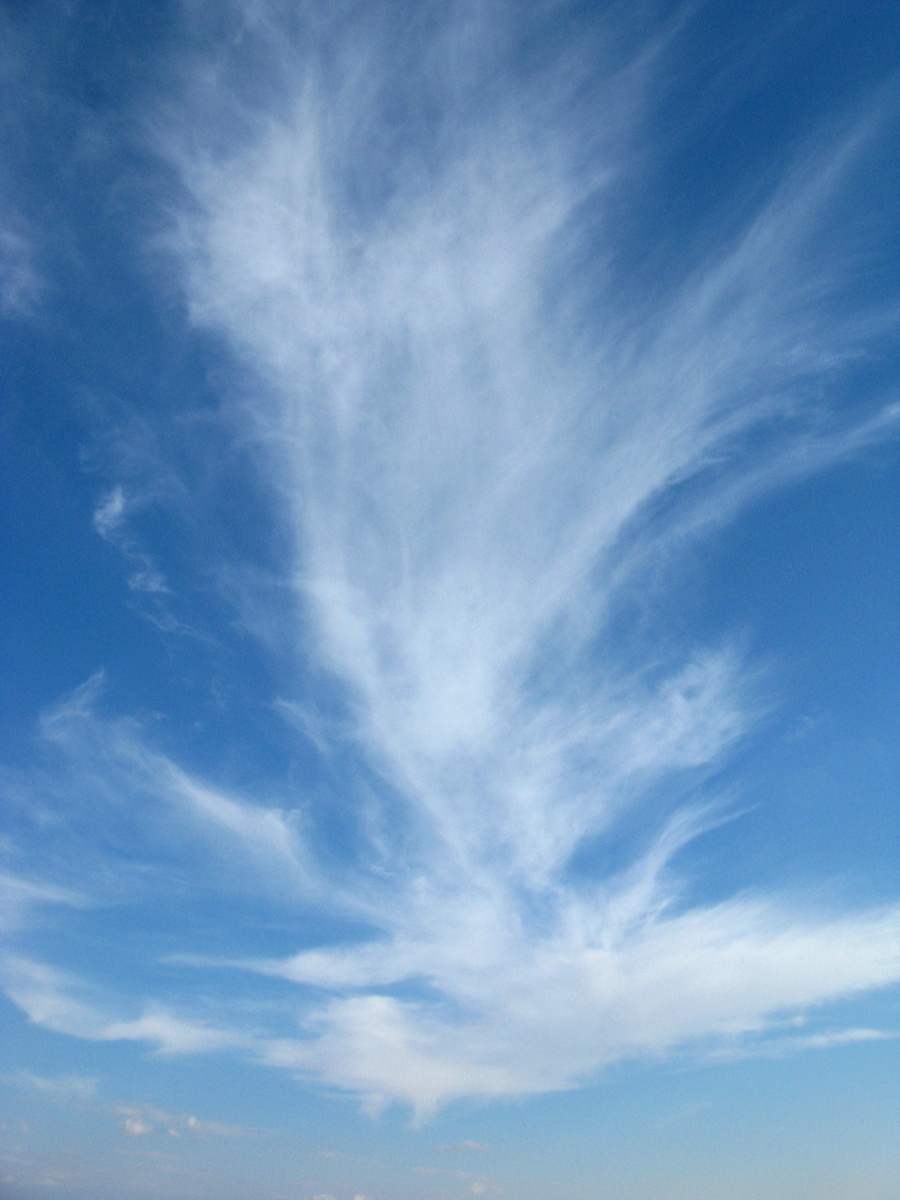 Фото: Марина Н. Макарова, Омск, 5апр26.