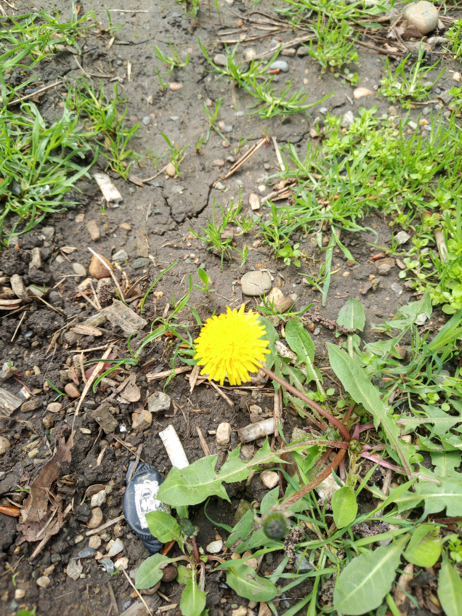 По пути домой.